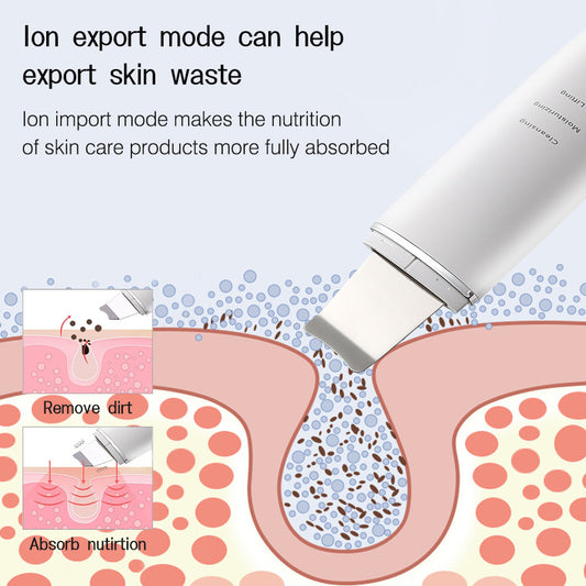Illustration of a skincare device with text explaining ion export and import modes on a light purple background.